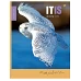 Зошит А4 96 Square YES Amazing Bird набір 3 шт. (891375)