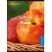 Зошит А4 96 Square YES Vitamine Fruits набір 3 шт. (891377)