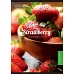 Зошит А4 96 Square YES Vitamine Fruits набір 3 шт. (891377)