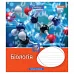 Зошит шкільна А5 48 1В (Workbook) Набір 8 Видів (764880)