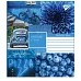 Зошит шкільна А5 48 клітка YES Collage Pantone набір 10 шт. (765022)