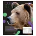 Зошит шкільна А5 36 лінія YES Animal набір 15 шт. (765015)