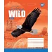 Зошит шкільна А5 96 клітка YES Stay Wild набір 5 шт. (765058)