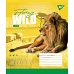 Зошит шкільна А5 96 клітка YES Stay Wild набір 5 шт. (765058)