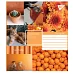 Зошит шкільна А5 24 клітка YES Collage Pantone набір 20 шт. (764988)