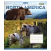 Зошит шкільна А5 60 клітка 1В Earth Animal набір 10 шт. (764956)