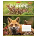 Зошит шкільна А5 60 клітка 1В Earth Animal набір 10 шт. (764956)