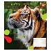 Зошит шкільна А5 18 клітка YES Animal набір 25 шт. (764975)