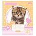 Зошит шкільна А5 12 клітка 1В Keith Kimberlin. Pet Portrait набір 25 шт. (765328)