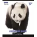Зошит шкільна А5 48 клітка YES Wild Portrait набір 5 шт. (765281)