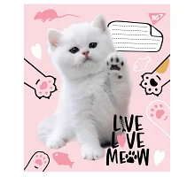 Зошит шкільна А5 12 лінія YES Live Love Meow набір 25 шт. (765504)