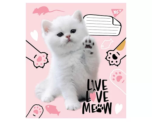 Зошит шкільна А5 12 лінія YES Live Love Meow набір 25 шт. (765504)