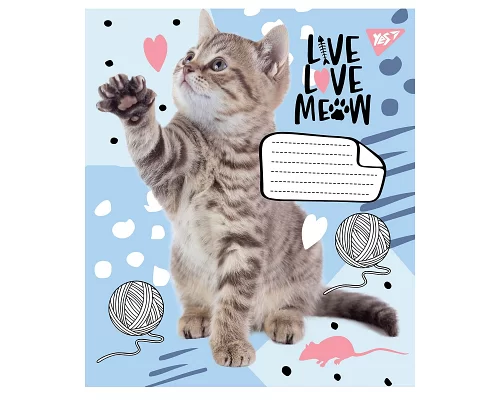 Зошит шкільна А5 12 лінія YES Live Love Meow набір 25 шт. (765504)