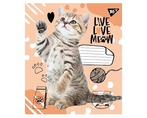 Зошит шкільна А5 12 лінія YES Live Love Meow набір 25 шт. (765504)