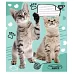 Зошит шкільна А5 12 лінія YES Live Love Meow набір 25 шт. (765504)