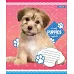 Зошит шкільна А5 12 коса без д / л 1В Lovely Puppies набір 25 шт. (765417)