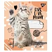 Зошит шкільна А5 12 коса без д / л YES Live Love Meow набір 25 шт. (765502)