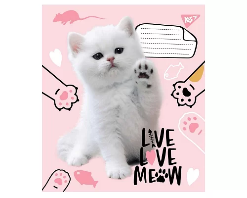 Тетрадь школьная А5 12 клетка YES Live Love Meow набор 25 шт. (765496)