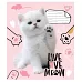 Зошит шкільна А5 12 клітка YES Live Love Meow набір 25 шт. (765496)