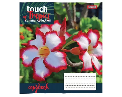 Зошит шкільна А5 18 клітка 1В Touch Tropics набір 25 шт. (765428)