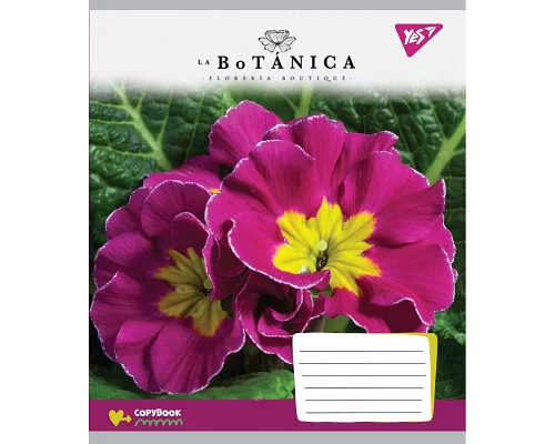 Тетрадь школьная А5 18 клетка YES La Botanica набор 25 шт. (765512)