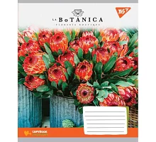Зошит шкільна А5 18 лінія YES La Botanica набір 25 шт. (765522)
