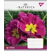 Зошит шкільна А5 18 лінія YES La Botanica набір 25 шт. (765522)