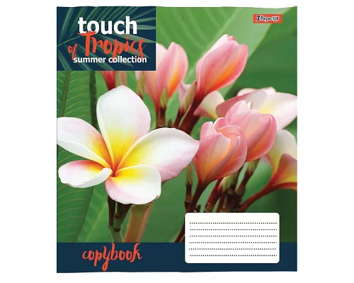 Зошит шкільна А5 24 клітка 1В Touch Tropics набір 20 шт. (765444)