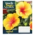 Зошит шкільна А5 36 лінія 1В Touch Tropics набір 15 шт. (765460)