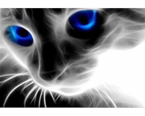 Алмазная мозаика Голубоглазая кошка 30*40см без рамки 40*8*5см (H8147)