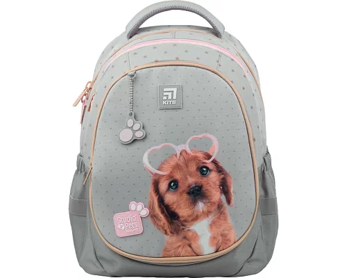 Рюкзак напівкаркасний Kite Education Studio Pets (SP22-700M(2p)