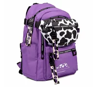 Рюкзак школьный и сумка на пояс YES TS-61-M Moody (559476)