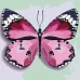 Картина по номерам Розовая бабочка Идейка 25х25 (KHO4209)