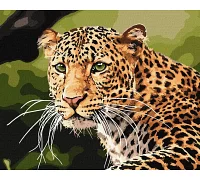 Картина по номерам  Зеленоглазый леопард Идейка 40х50 (KHO4322)