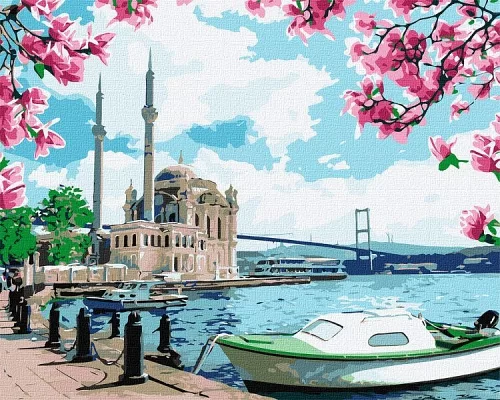 Картина за номерами Яскравий Стамбул 40х50 Ідейка (KHO2757)