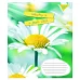 А5/60 кл. 1В Summer flowers Зошит шкільний дя записів набір 10 шт (766064)