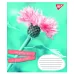 А5/60 кл. 1В Summer flowers Зошит шкільний дя записів набір 10 шт (766064)