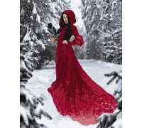 Картина за номерами Зимова красуня ©Chervona_vorona_photography 40х50 (KHO4912)