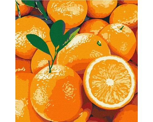 Картина по номерам Сочный апельсин 25х25 (KHO5649)
