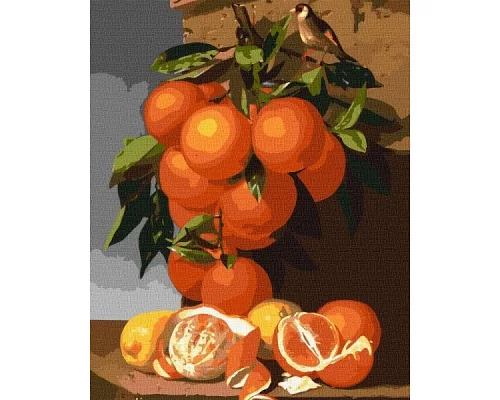 Картина по номерам Апельсины и лимоны ©Antonio Mensaque 40х50 (KHO5651)