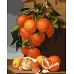 Картина за номерами Апельсини та лимони ©Antonio Mensaque 40х50 (KHO5651)
