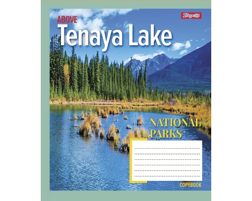 Зошит шкільний А5/96 лінійка 1В National parks зошит для записів набір 5 шт. (766125)
