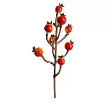 Гілка декоративна Yes! Fun з осінніми ягодами, 22,5 см (973923)