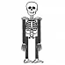 Скелет декор.Yes! Fun Хэллоуин 75см картон (974323)