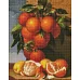 Алмазна мозаїка Апельсини та лимони ©Antonio Mensaque 40х50 Идейка (AMO7246)