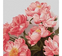Картина по номерам Букет розовых пионов 40х40 Идейка (KHO3212)