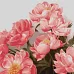 Картина по номерам Букет розовых пионов 40х40 Идейка (KHO3212)
