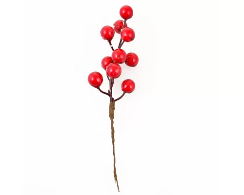 Ветка декоративная Yes Fun с красными ягодами 17см засахаренная (973523)