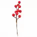 Гілка декоративна Yes Fun з червоними ягодами 17см зацукрована (973523)