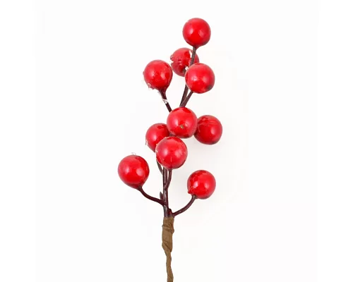 Гілка декоративна Yes Fun з червоними ягодами 17см зацукрована (973523)